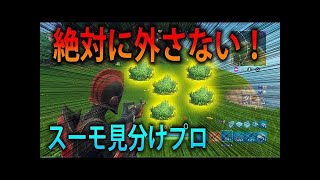 【フォートナイト 実況】スーモ見分けのコツはエイムアシストで！ part  185 FORTNITE【ななか】