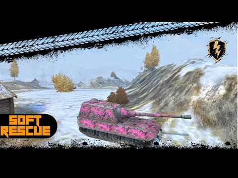 Jg.Pz.E100: 17,000 Damage