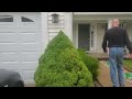 DAD LOOSES HIS TOP