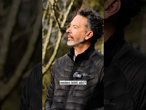 Harley Davidson Neden Bitti?