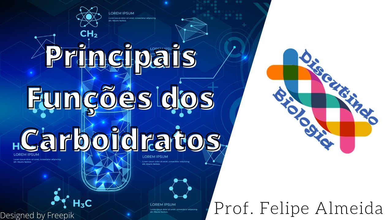 Principais funções dos carboidratos