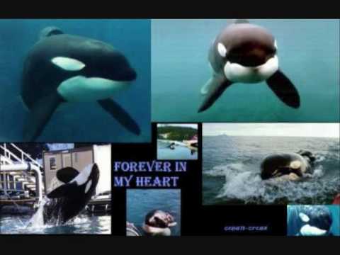 Keiko, La Porte de la Liberté - Partie 1