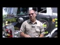 Bird And Bee Removal For Dirty Jobs
