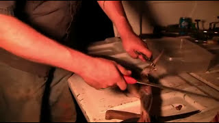 preview picture of video 'How to skin and filet a longnose gar fish'