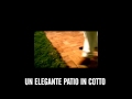 Vasco Rossi - Señorita - literal version - versione ...