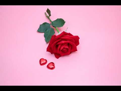 Nenito vargas - Eres Mia y Nadie Sabe