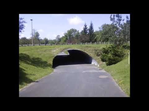 Unknown Song Clip ("Let Me Be")[SOLVED: Baby Love Band - Let Me Be]