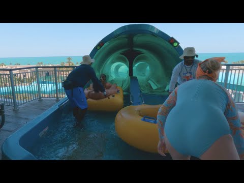 🙈 Would YOU TRY This Water Slide at BIGGEST Water Park Aquaventure in Dubai? Shark Attack Waterslide