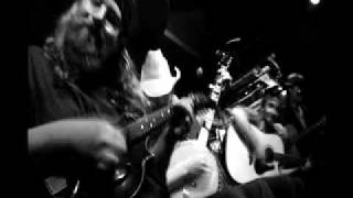 trampled by turtles - silver and gold