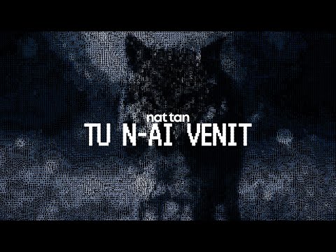 NAT TAN - Tu n-ai venit (Official Audio)