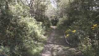 preview picture of video 'Van Buren State Park, OH'
