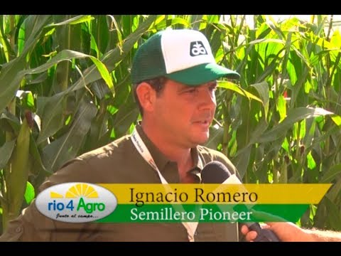 PROGRAMA RIO 4 AGRO 21 03 BLOQUE 2 "Semillero Pioneer"