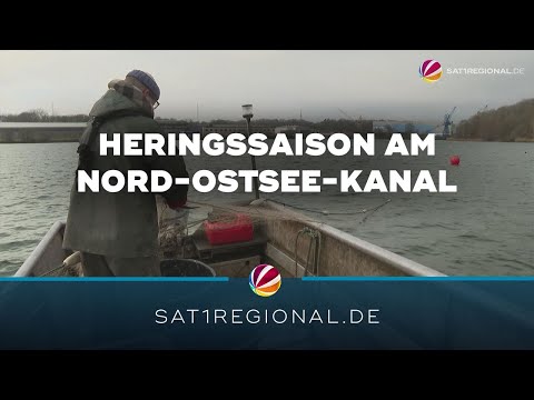 Der letzte Heringsfischer am Nord-Ostsee-Kanal