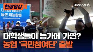 ‘농부의 마음이 하늘의 뜻’…농촌 활력 불어넣는 대학생 봉사단 [현장영상] / 채널A