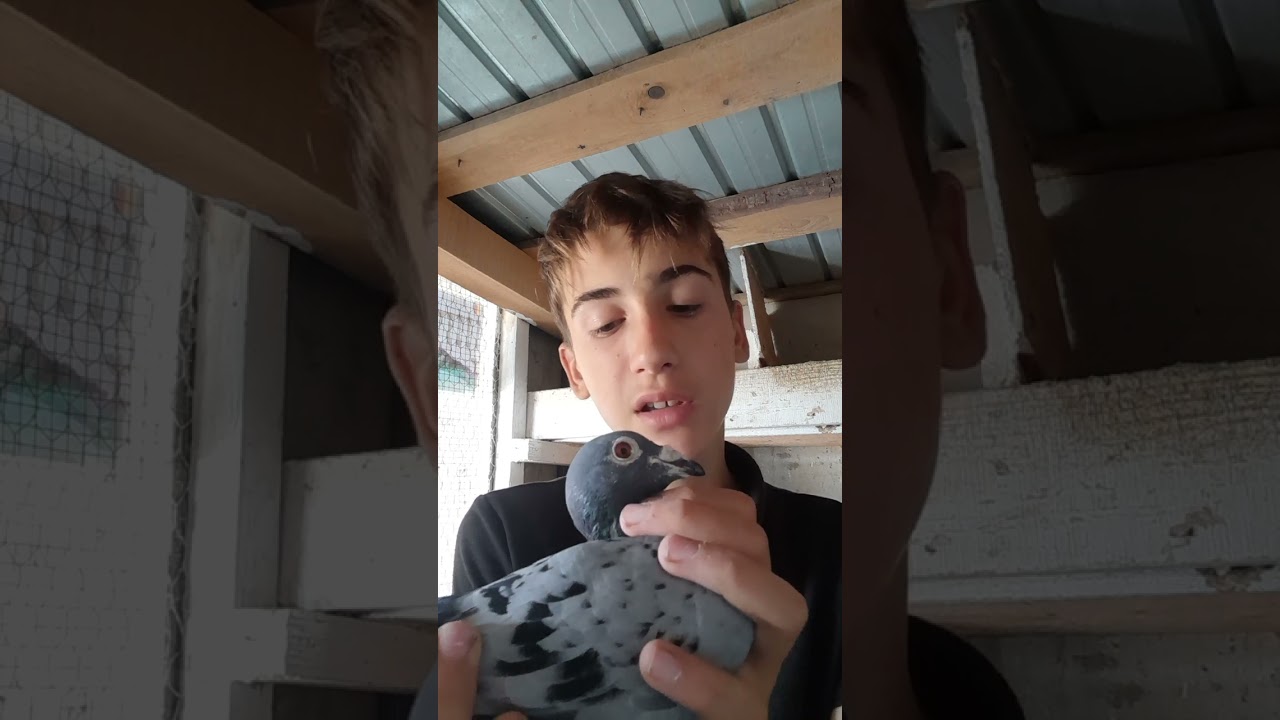 Masculi din compartimentul zburătorilor 2024.Doar 3 din ei vor promova la anul 2025 ca și zburători