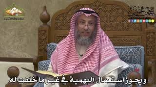 2295 - ويجوز استعمال البهمية في غير ما خلقت له - عثمان الخميس