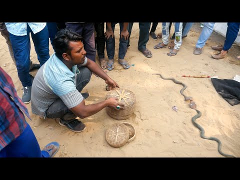 Watch the magician's game, he made everyone laugh by showing the magic snake game.