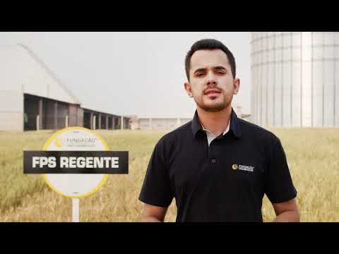 VIERA Dia de Campo III