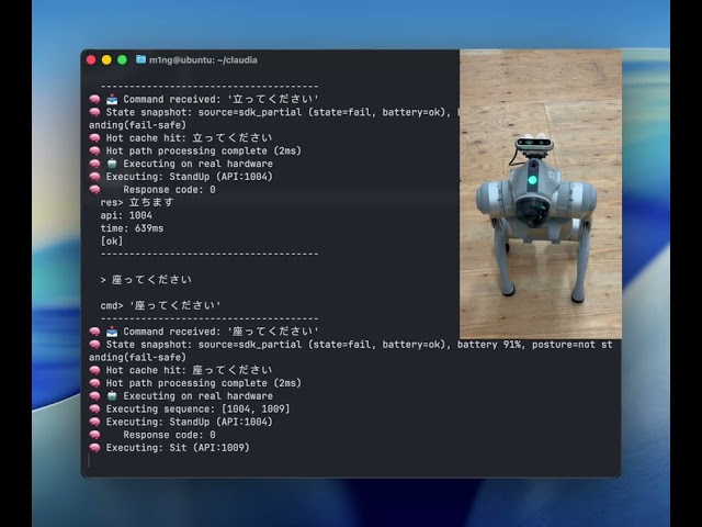 Terminal Demo