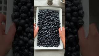 What I did with 12 pounds of blueberries! | FeelGoodFoodie