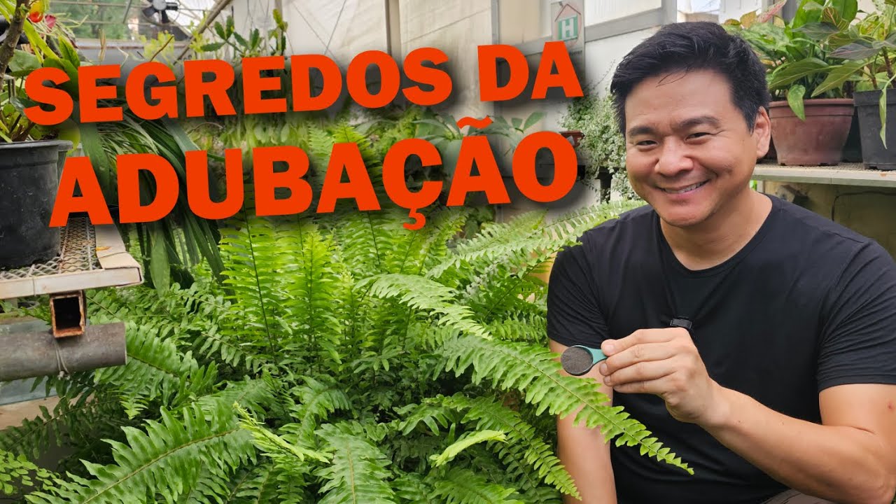 3 Dicas para acertar na ADUBAÇÃO.