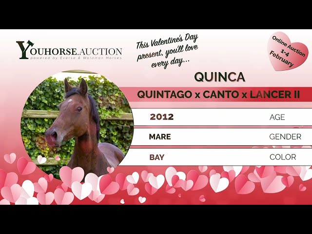 Quinca