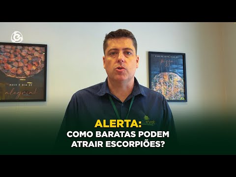 Alerta: Como Baratas Podem Atrair Escorpiões?