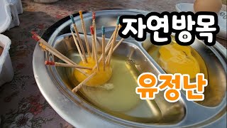 자연 방목 유정란 보약이 따로 없네