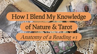 How I Blend Nature & Tarot (Anatomy of a Reading #1) ✨️🌱