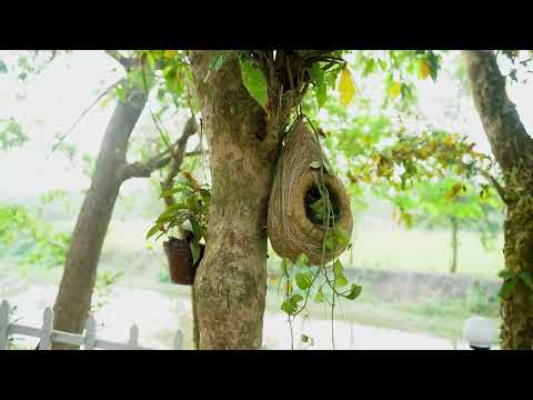 Chuti Resort Gazipur at a Glance | Chuti Resort | Best Resort Near Dhaka