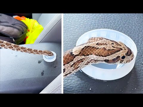 #13 Die besten Videos 2025 || ✪ Stern DuTube