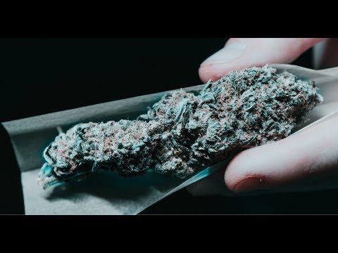 CAMAELEON x KOUSHINO - PACK ES