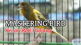 Download lagu Kenari Gacor cocok buat Murai Batu jeda 1 menit mp3