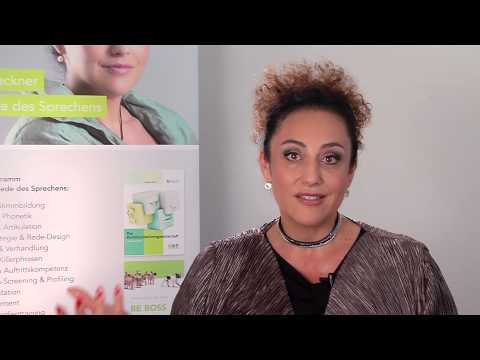 Anglizismen vs  Denglish