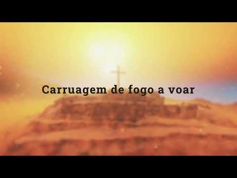 O Que Ninguém Viu - Stênio Marcius
