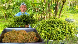 Download lagu KERABU PUCUK PAKU ‼️ Rumah Warga Emas & OKU mp3 Download lagu KERABU PUCUK PAKU ‼️ Rumah Warga Emas & OKU mp3