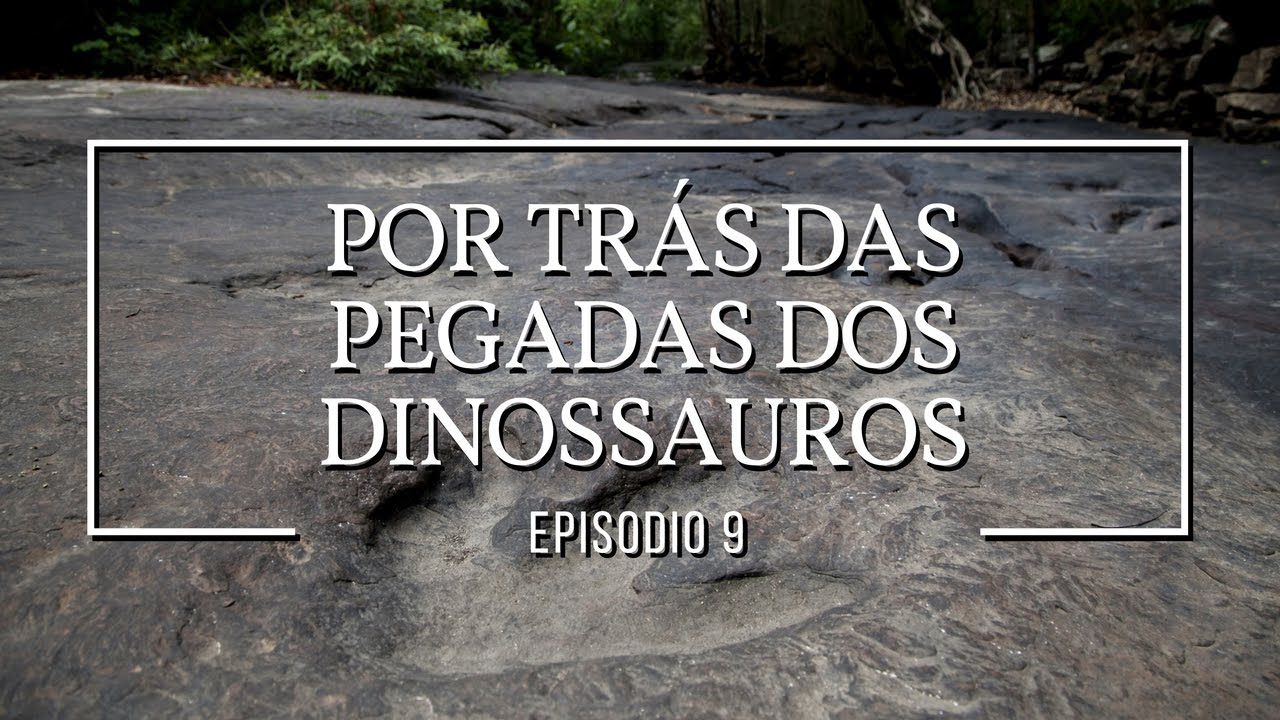 Por trás das pegadas dos dinossauros | Dinossauros #9