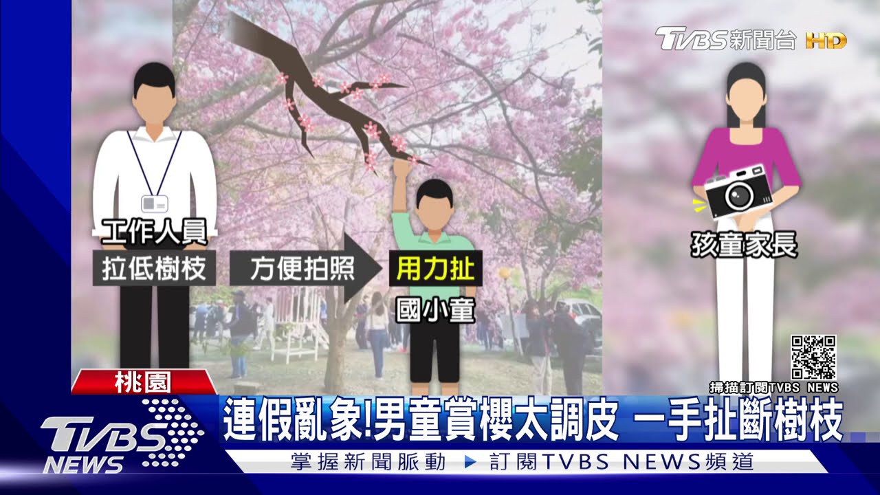 連假亂象!男童賞櫻太調皮 一手扯斷樹枝