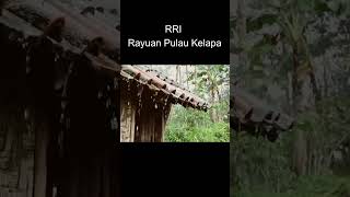 Download lagu Intro RRI Jadul #shorts mp3