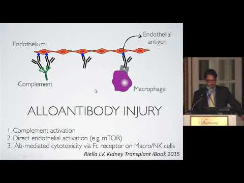 Brigham Renal Board Review, Kidney Transplantarion Questions