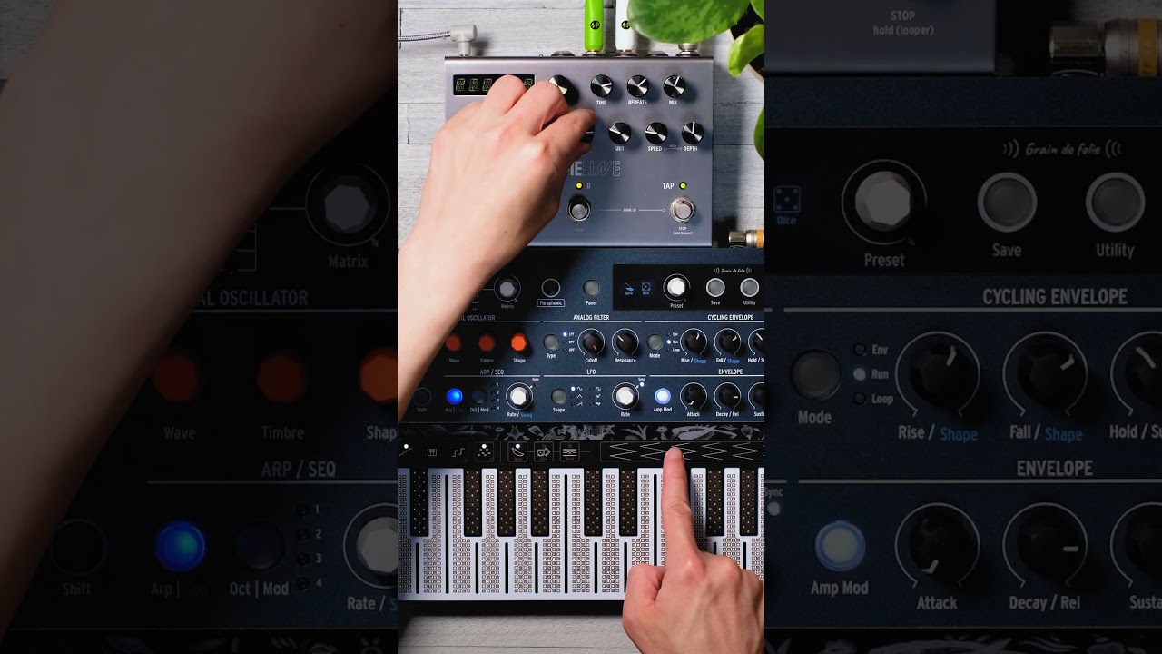 Ambient TimeLine Sketch #shorts