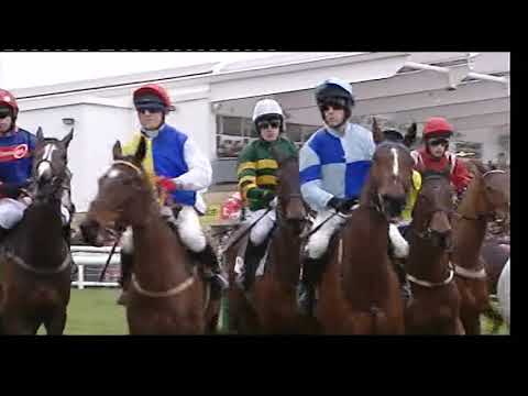 2010 Albert Bartlett Novice Hurdle - Cheltenham Festival