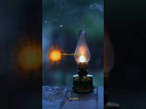 Hepaah - DEBO & Sens3i