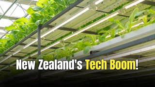The Seven Sectors Driving Tech Growth in New Zealand