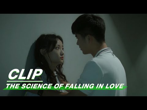 Chengcheng Confronts Yuhe If He is Panpan | The Science of Falling in Love EP17 | 理科生坠入情网 | iQIYI