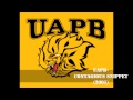 UAPB -"Contagious Snippet" 2001(Audio)
