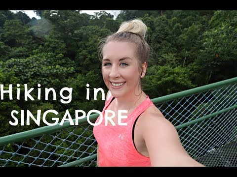 HIKING in SINGAPORE?! 🇸🇬 I DID NOT EXPECT THIS...