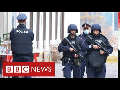 維也納發生 "伊斯蘭教徒 "槍手襲擊事件後，英國威脅等級提高到 "嚴重 "級 - BBC News (UK threat level raised to “Severe” following “Islamist” attack by gunman in Vienna - BBC News)