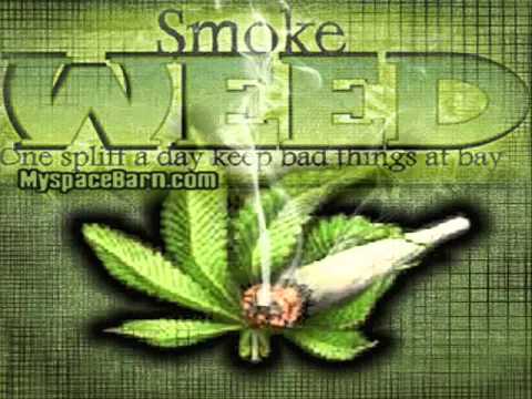 TCHIN TCHIN prod T.Rence - SWIFT GUAD