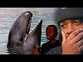 WE DIDN T UNDERSTAND WHALES UNTIL NOW